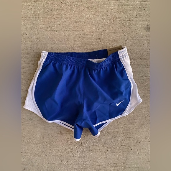 Nike Pants - NWT Nike Standard Fit Dri-fit Running Shorts, Size Small